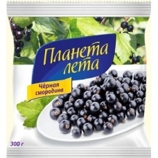 Смородина черная ПЛАНЕТА ЛЕТА 300г  (18 шт)